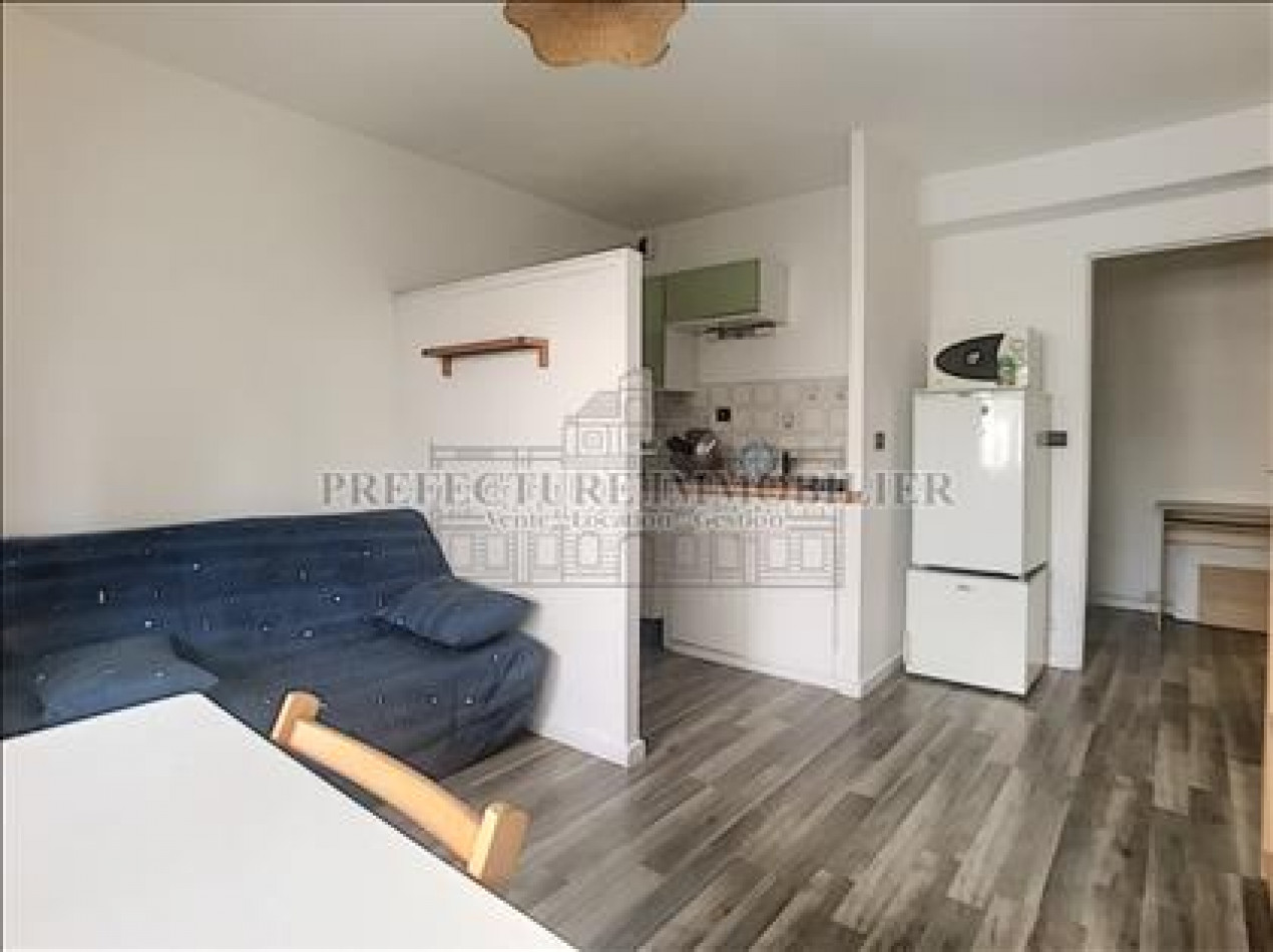 location Appartement Montpellier - Photo 1
