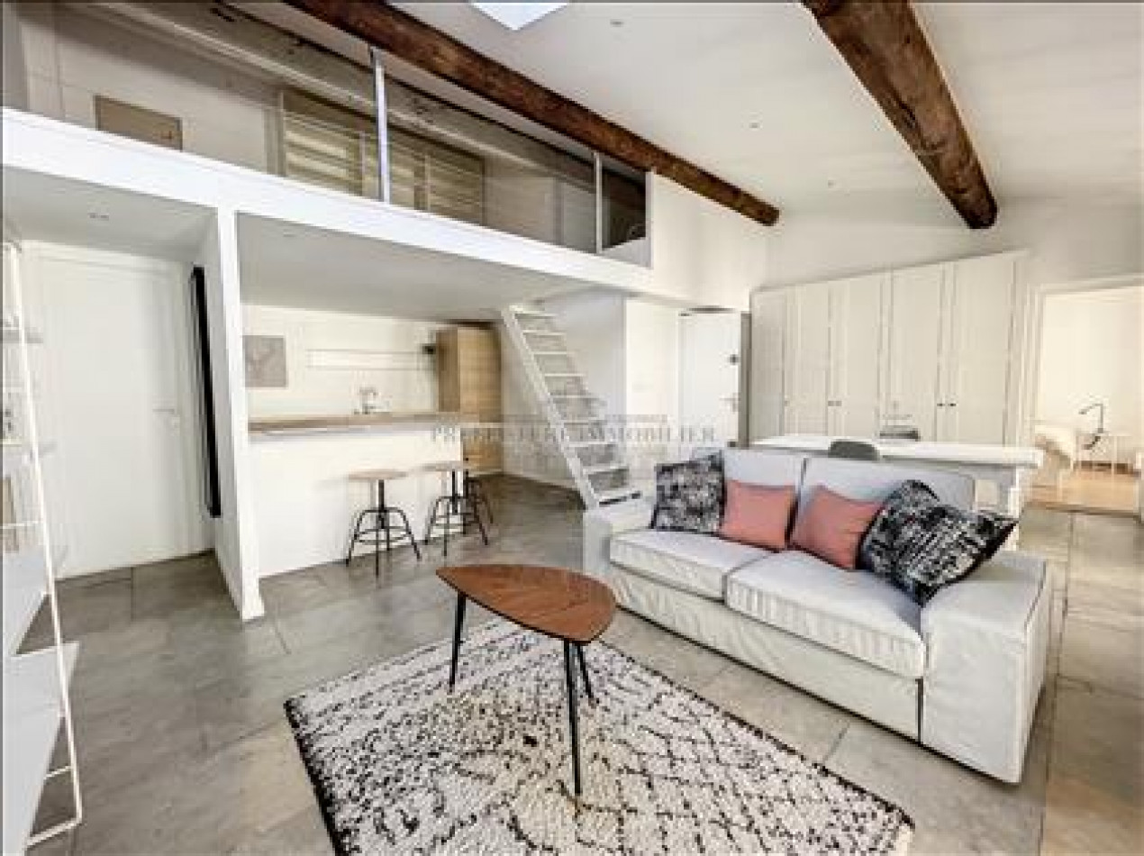 location Appartement Montpellier - Photo 1