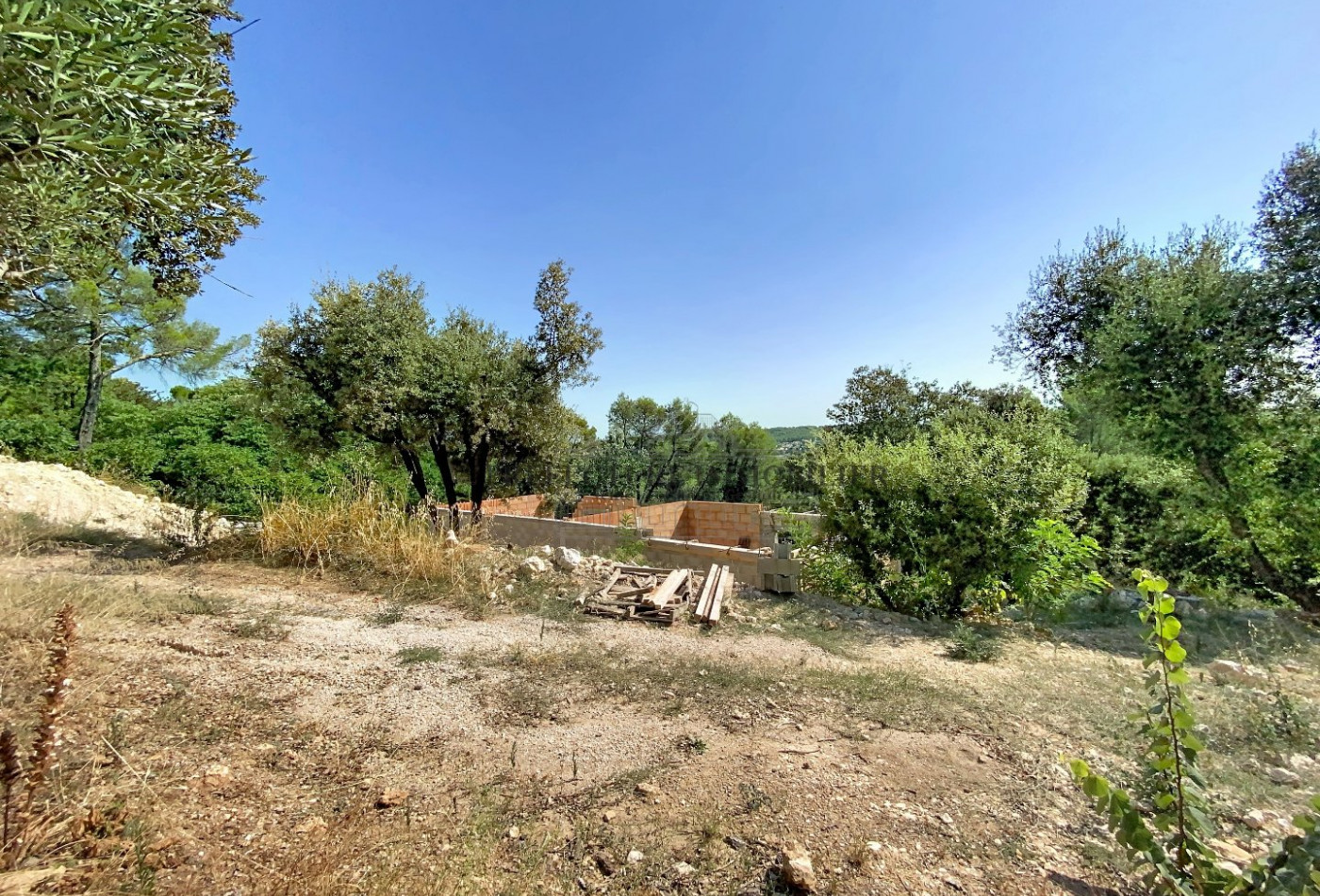 vente Terrain constructible Saint Clement De Riviere - Photo 3