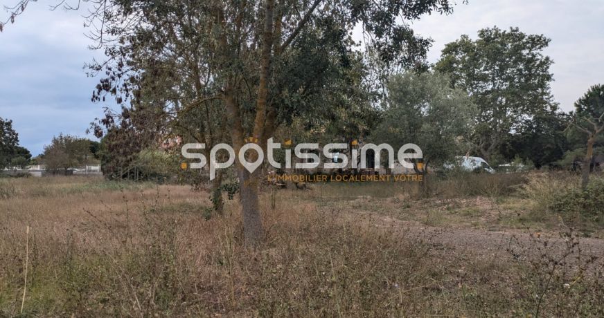vente Terrain constructible Le Grau D'agde