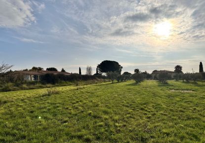 vente Terrain Magalas