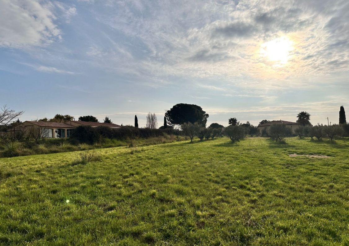 à vendre Terrain Magalas