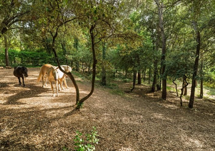 vente Villa Montpellier