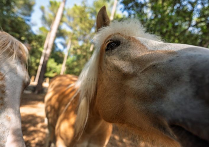 vente Villa Montpellier