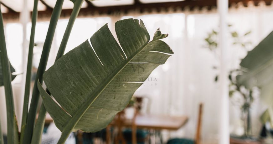 vente Maison bourgeoise Beziers