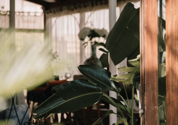 vente Maison bourgeoise Beziers