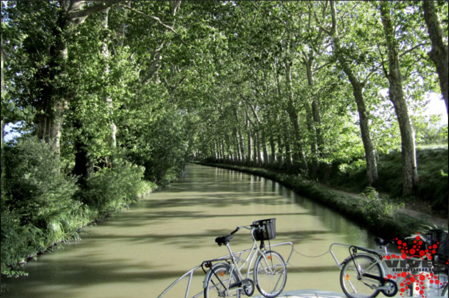 vente Café restaurant Colombiers - Photo 2