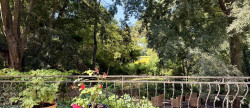 vente Maison de caractère Thezan Les Beziers