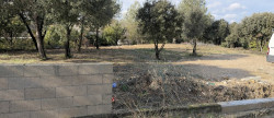 vente Terrain Prades Le Lez