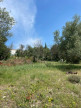 vente Terrain constructible Prades Le Lez