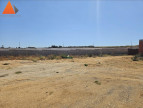 à vendre Terrain constructible Sauvian