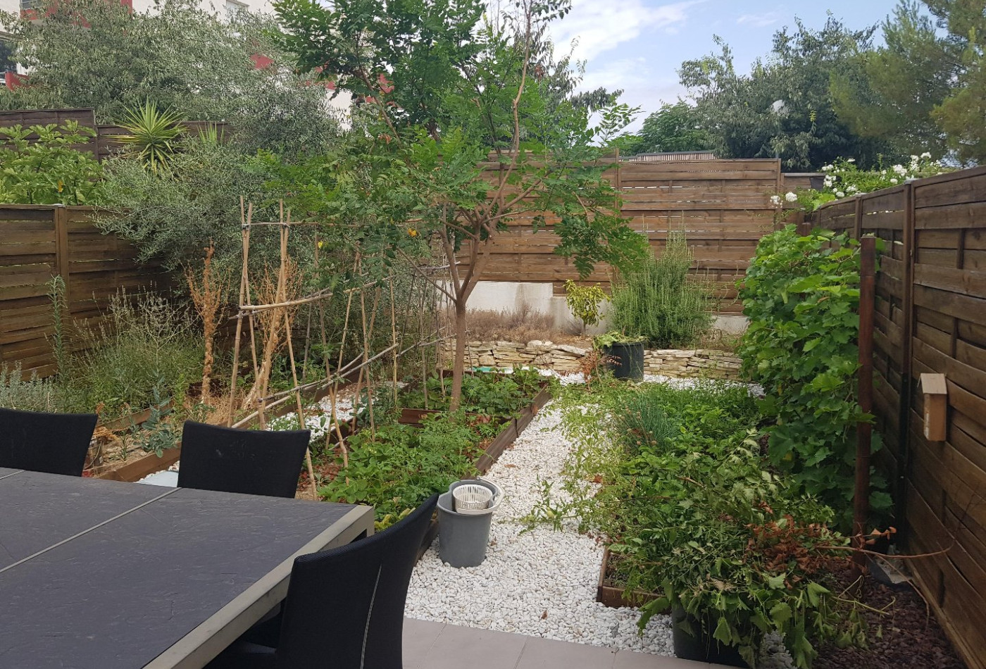 location Appartement Montpellier - Photo 1