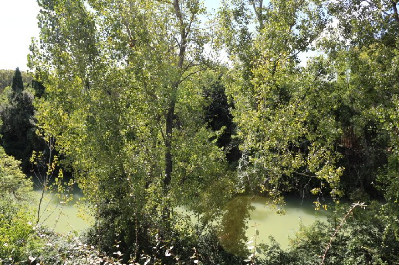 location Appartement Montpellier - Photo 2