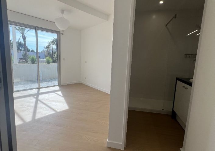 location Appartement Castelnau Le Lez