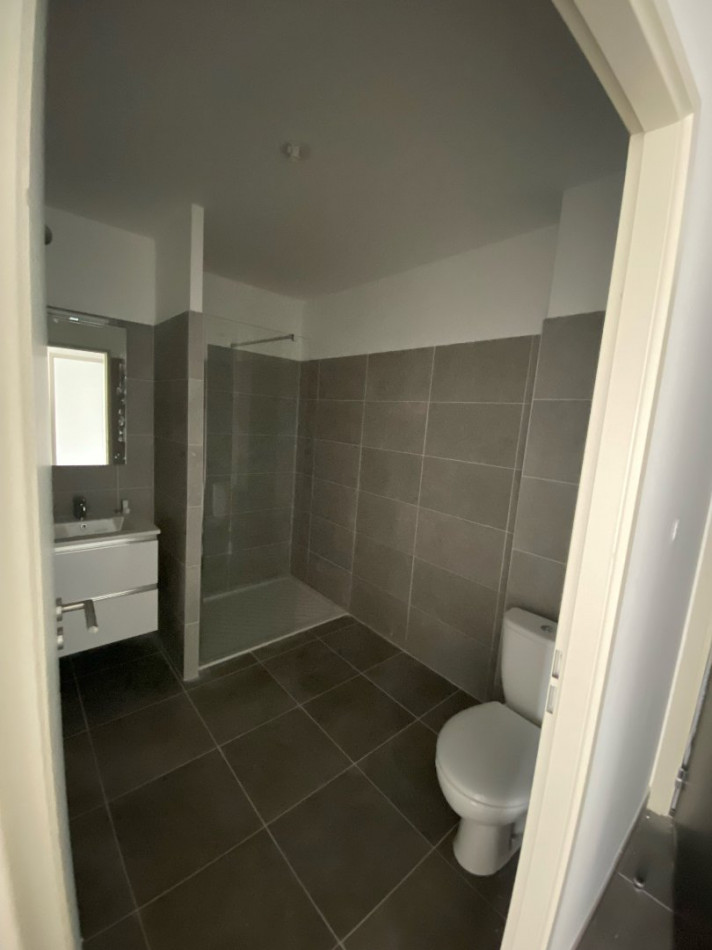 location Appartement Castelnau Le Lez - Photo 5