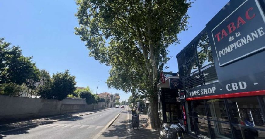 location Local commercial Montpellier
