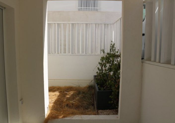 location Appartement Montpellier