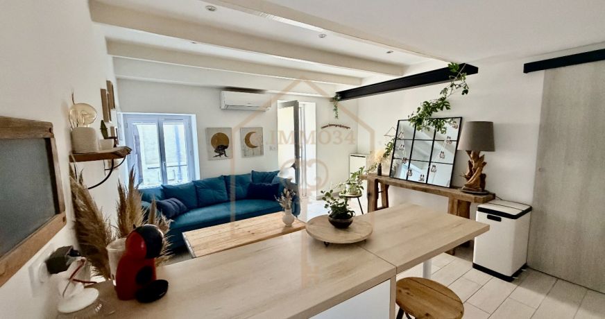 location Maison de village Saint Thibery