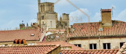 vente Appartement bourgeois Beziers