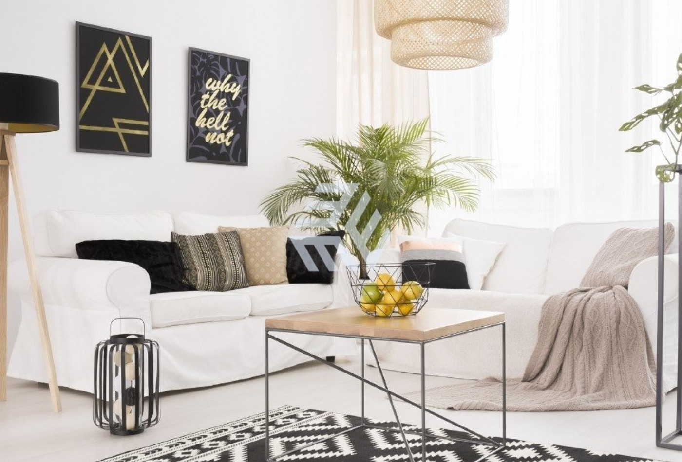 vente Appartement Castelnau Le Lez - Photo 2