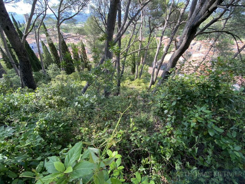 à vendre Maison Cessenon Sur Orb - Photo 6