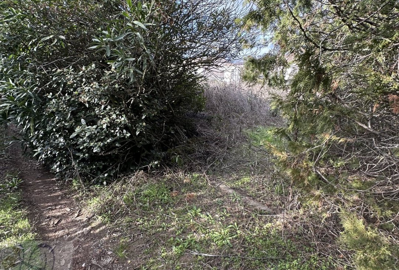 vente Terrain Beziers - Photo 2