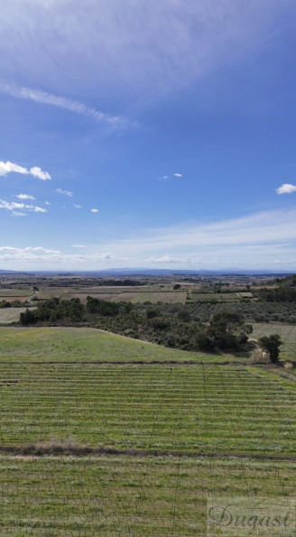 vente Propriété viticole Puisserguier - Photo 4