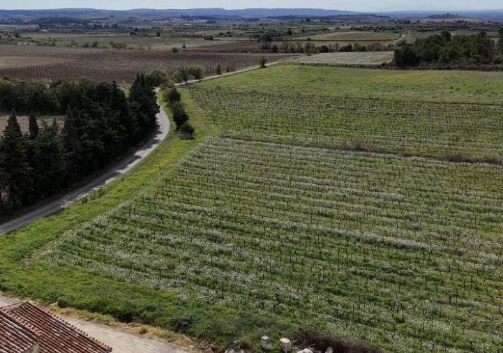 à vendre Propriété viticole Puisserguier