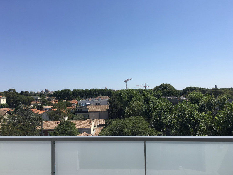 location Appartement Montpellier - Photo 1