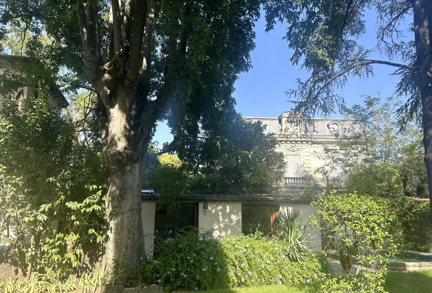 location Appartement Montpellier - Photo 1