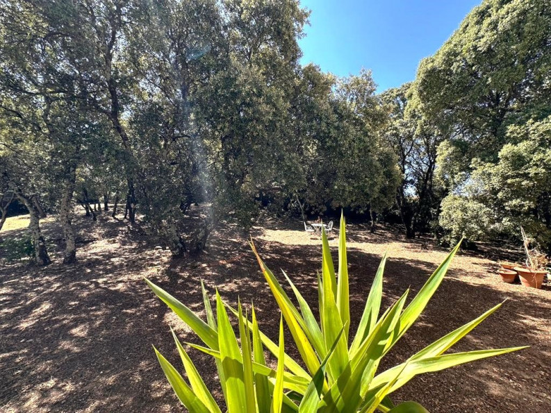 vente Maison Sussargues - Photo 5