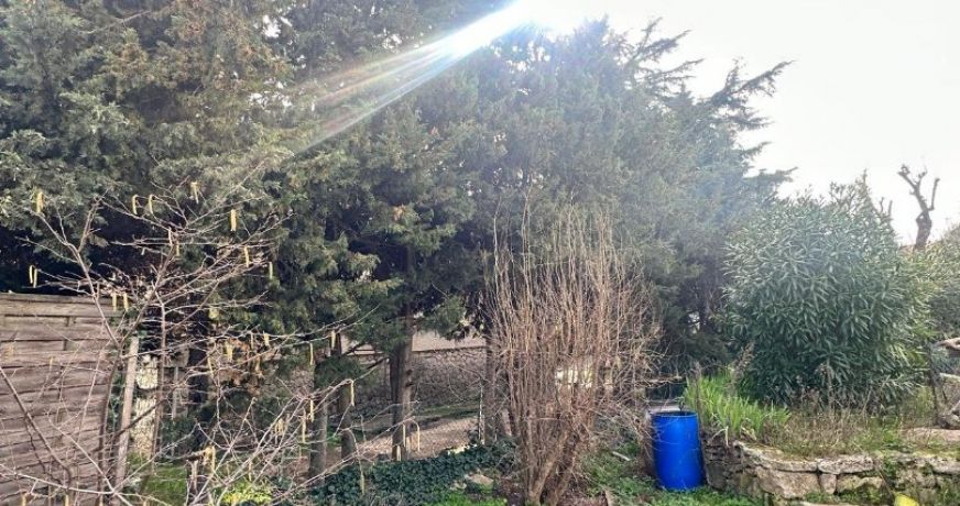 vente Maison Castries