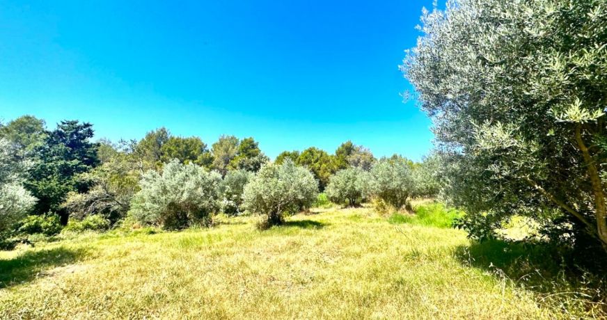 vente Maison Castries