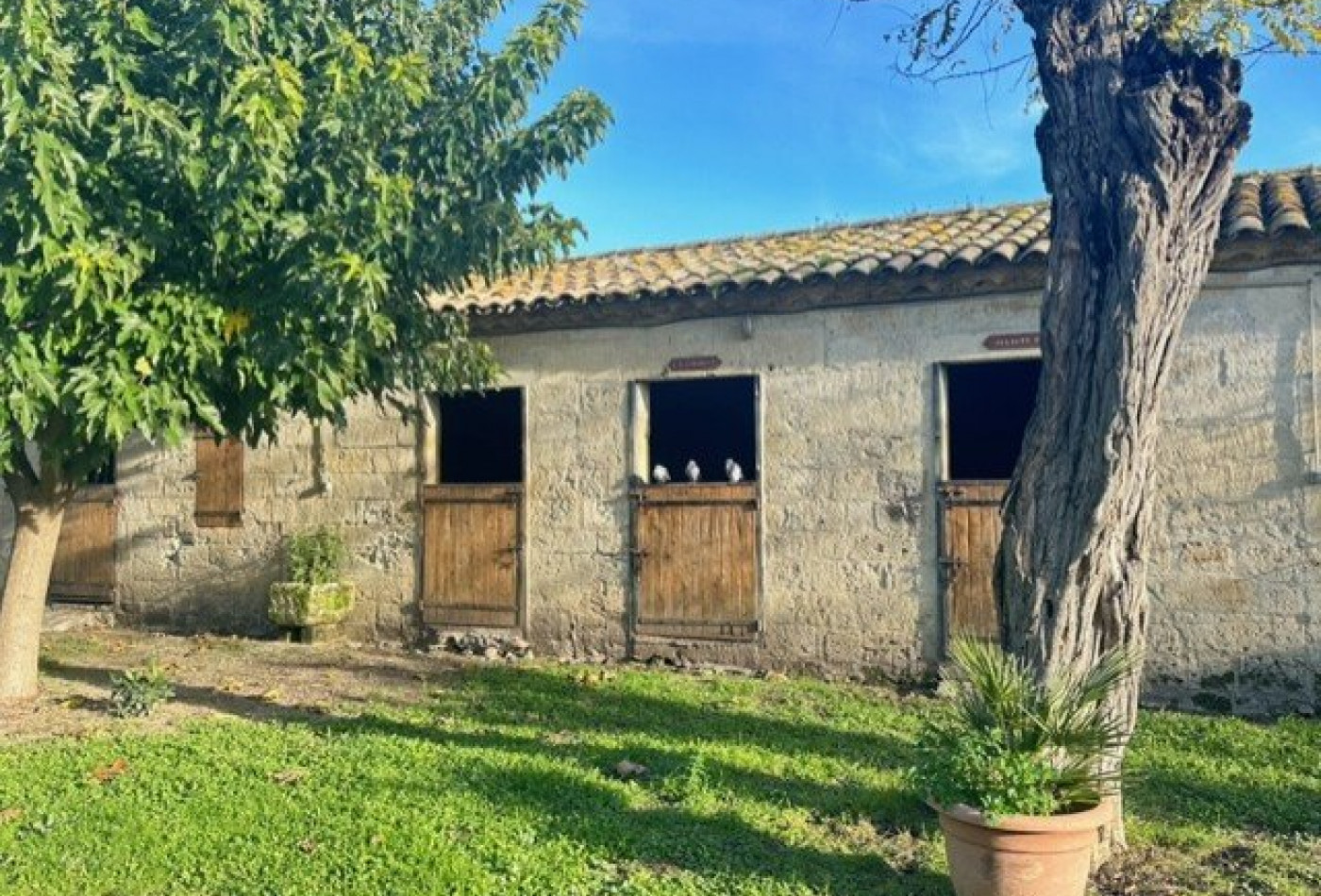 vente Domaine Castries - Photo 6