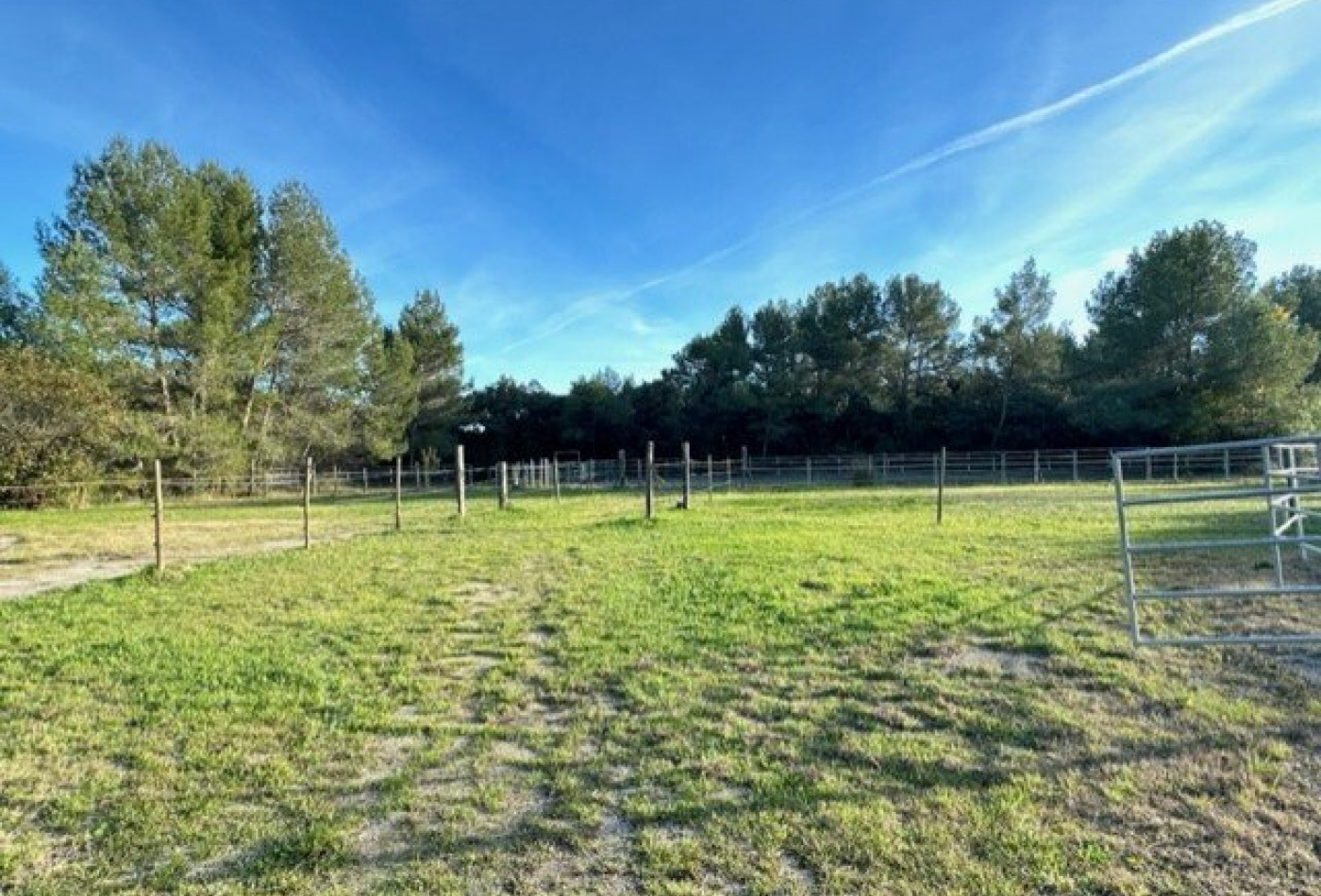 vente Domaine Castries - Photo 9