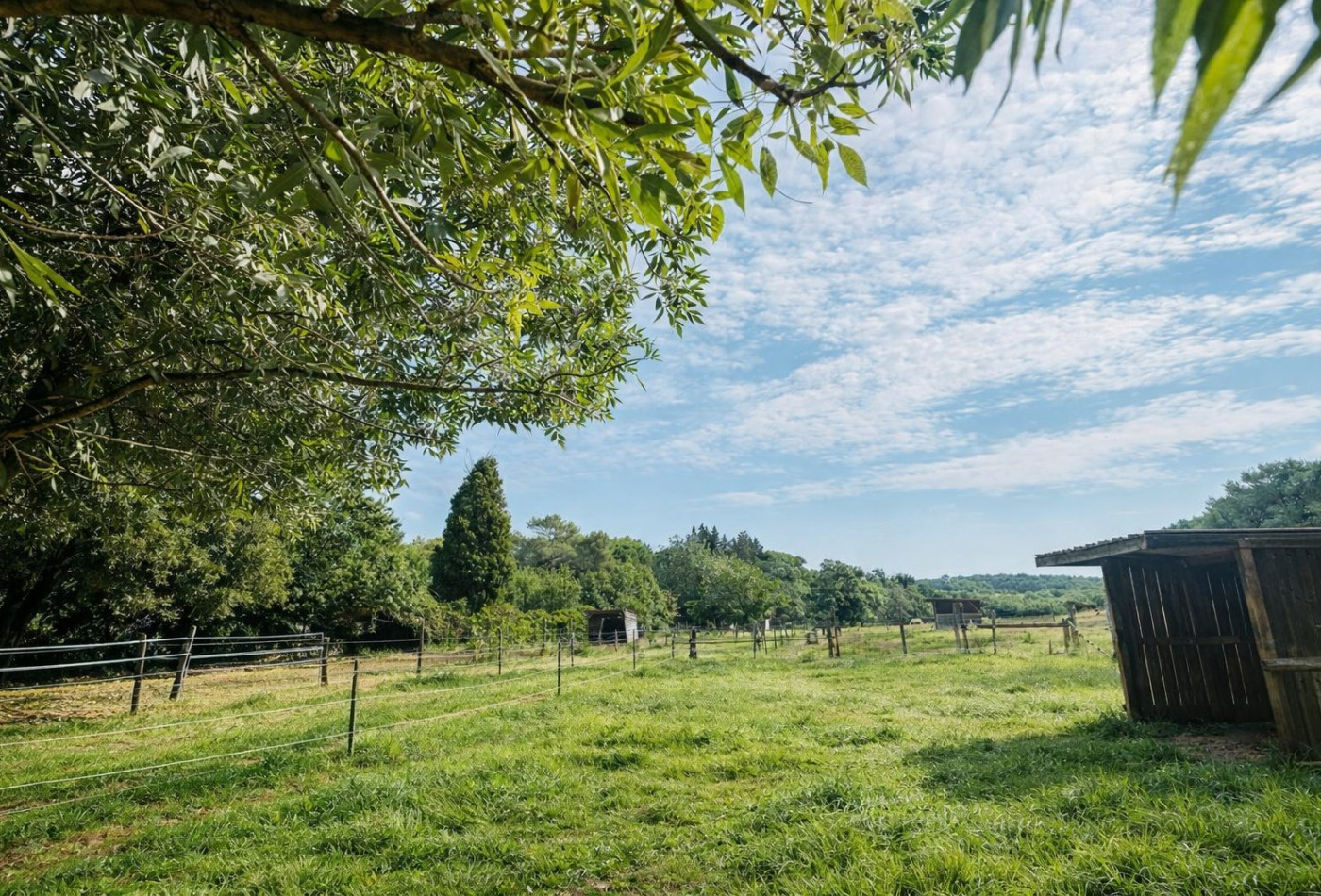vente Domaine Castries - Photo 1