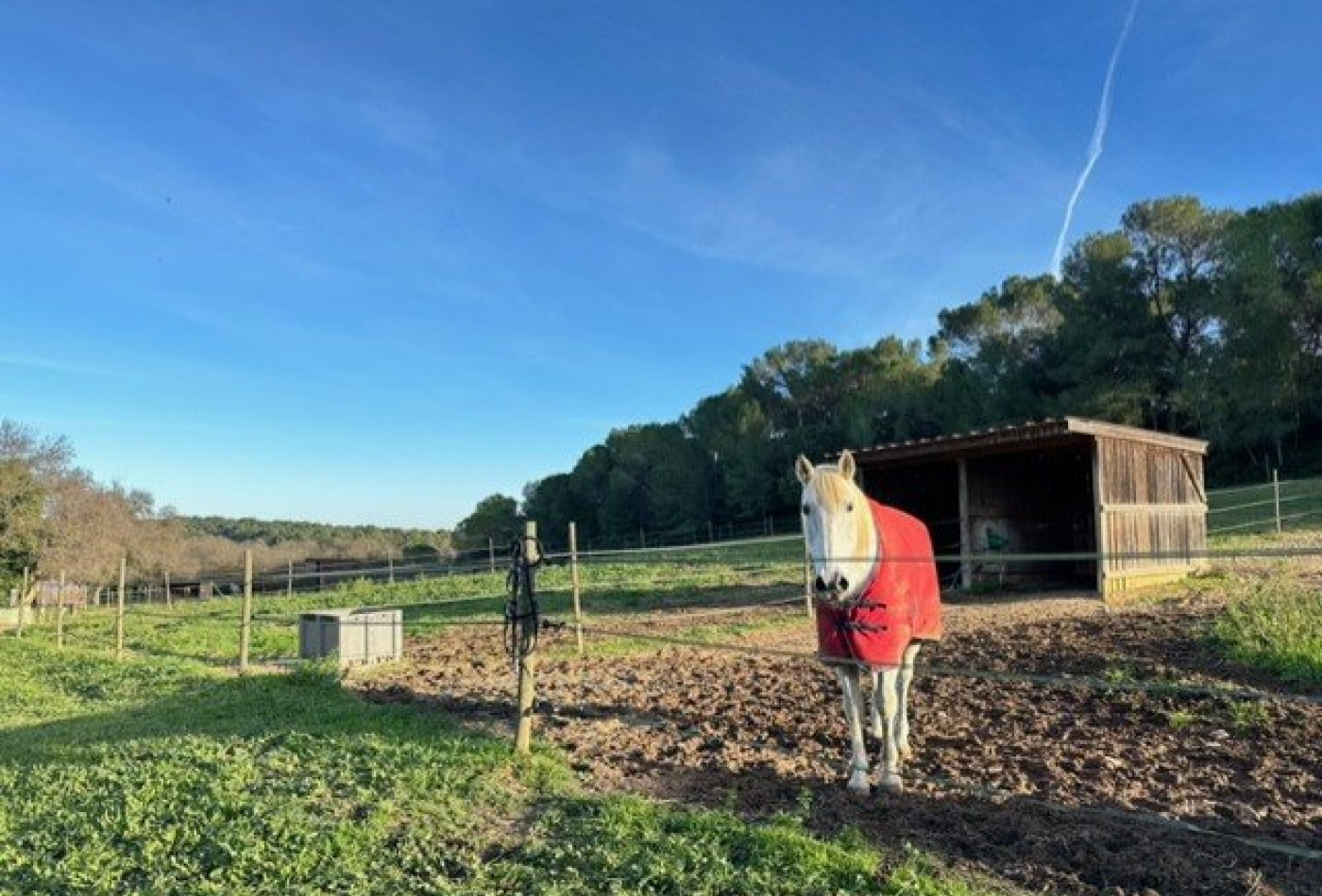 vente Domaine Castries - Photo 2