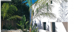 vente Villa Montpellier
