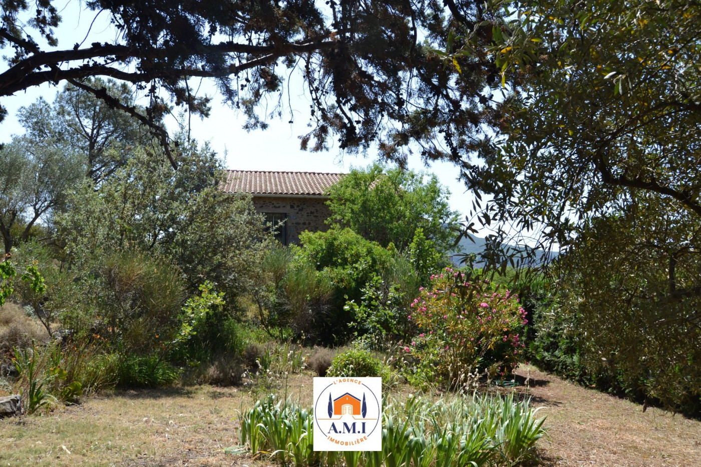 vente Maison Octon - Photo 13