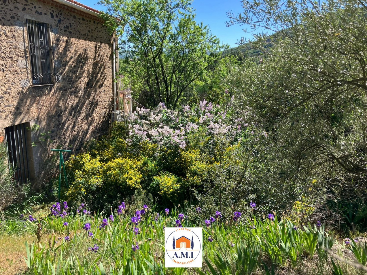 vente Maison Octon - Photo 2