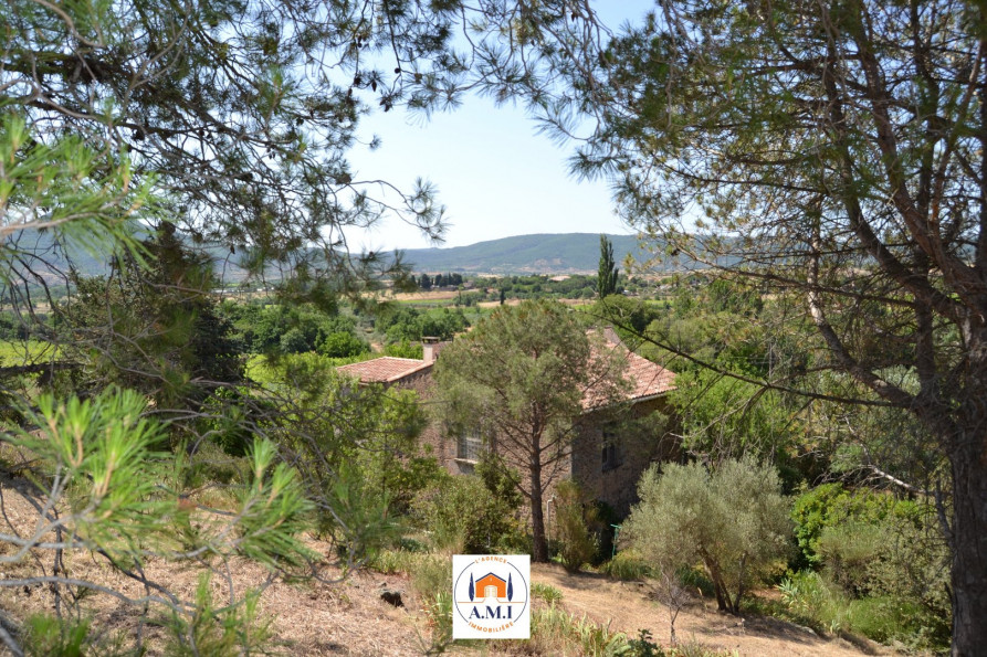 vente Maison Octon - Photo 1