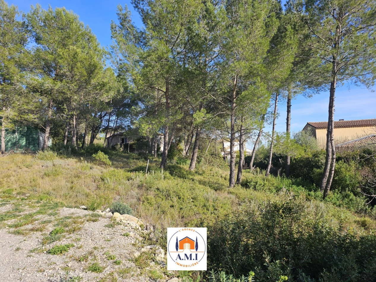 vente Maison et dépendances Saint Bauzille De Montmel - Photo 1