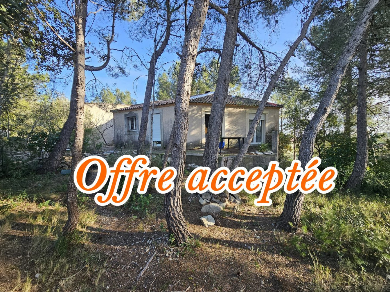 vente Maison et dépendances Saint Bauzille De Montmel - Photo 1