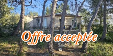 vente Saint Bauzille De Montmel