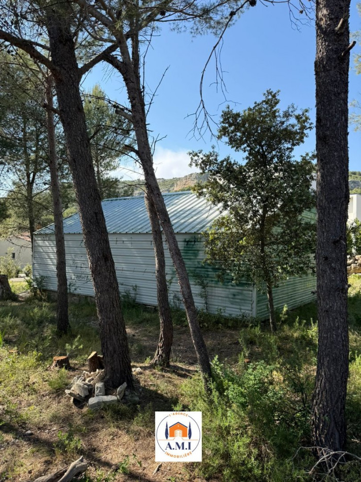 vente Maison et dépendances Saint Bauzille De Montmel - Photo 6