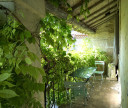 vente Maison Boisseron