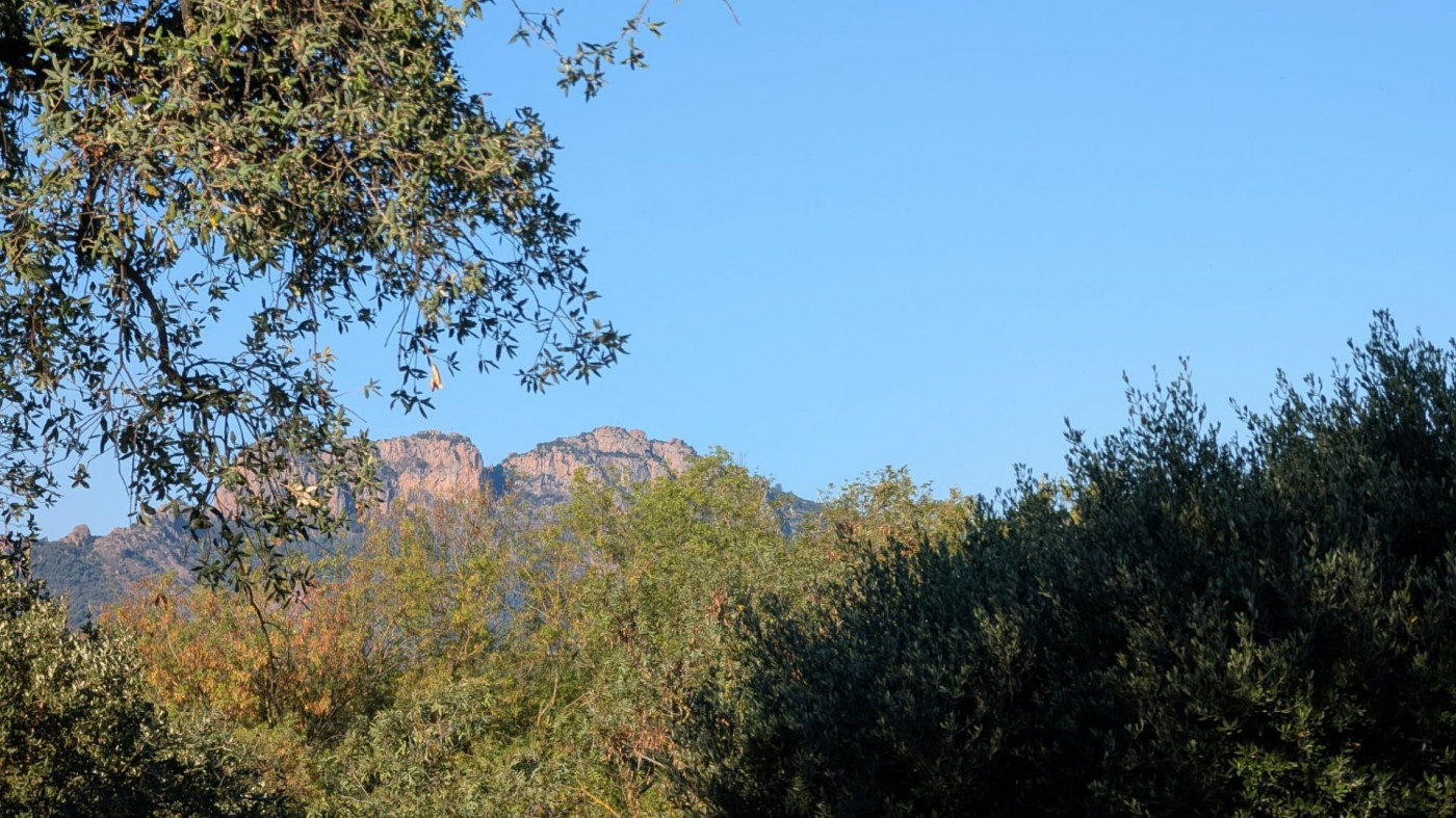 vente Maison Puget Sur Argens - Photo 2