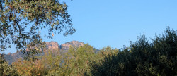 vente Maison Puget Sur Argens