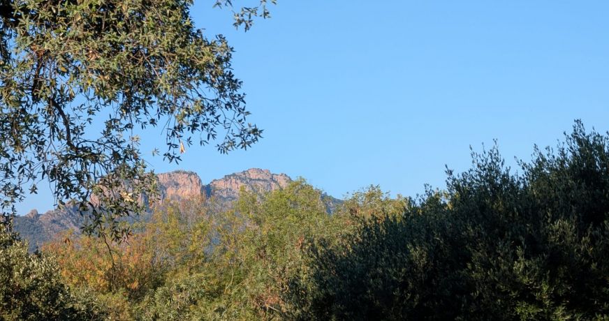vente Maison Puget Sur Argens