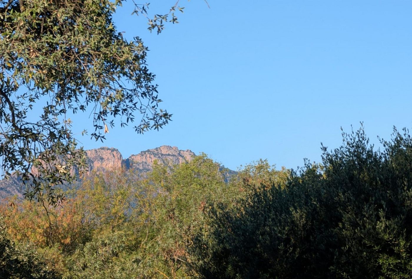 vente Maison Puget Sur Argens - Photo 2